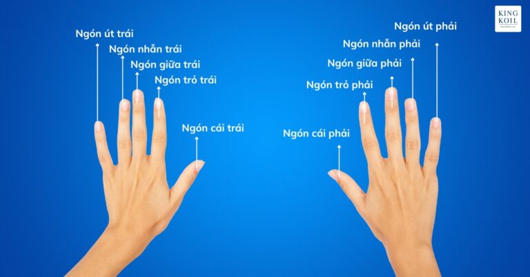 Ngón Trỏ Phong Thủy: Khám Phá Ý Nghĩa và Tác Động Đến Vận Mệnh Con Người
