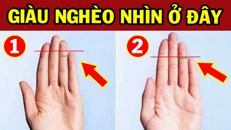 Ngón Áp Út Phong Thủy: Bí Ẩn và Tác Động Đến Vận Mệnh và Tính Cách
