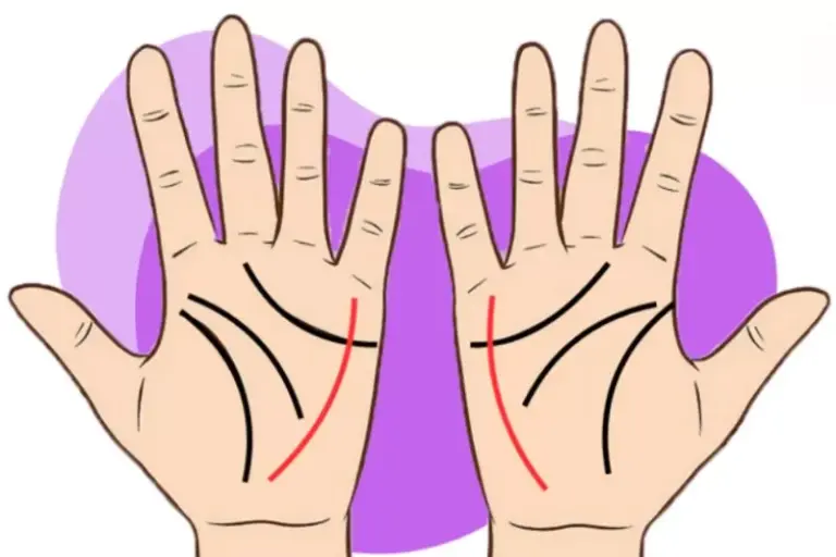Lòng Bàn Tay Phong Thủy: Ý Nghĩa và Tác Động Đến Vận Mệnh và Tính Cách