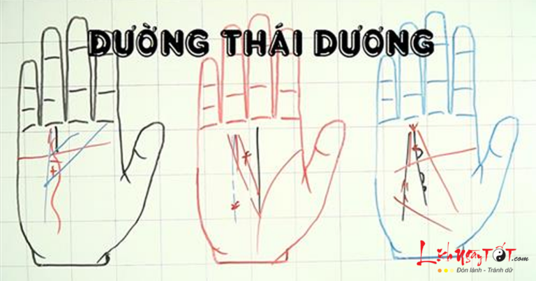 Đường Thái Dương Trong Phong Thủy: Ý Nghĩa và Ứng Dụng Thực Tiễn