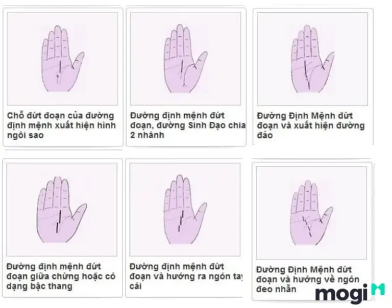 Giải Mã Đường Chỉ Tay Phong Thủy: Tấm Gương Phản Chiếu Vận Mệnh Cuộc Đời