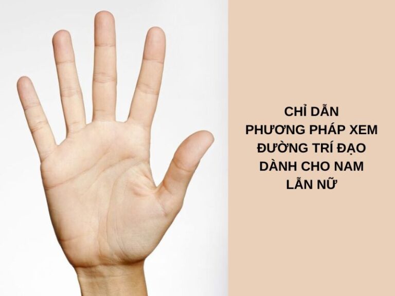 Đường Trí Đạo Phong Thủy: Tấm Gương Phản Chiếu Trí Tuệ và Nhân Cách