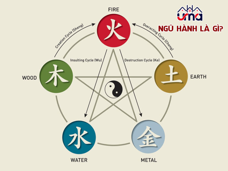 NGŨ HÀNH – NGUYÊN LÝ CĂN BẢN CỦA VŨ TRỤ VÀ CUỘC SỐNG