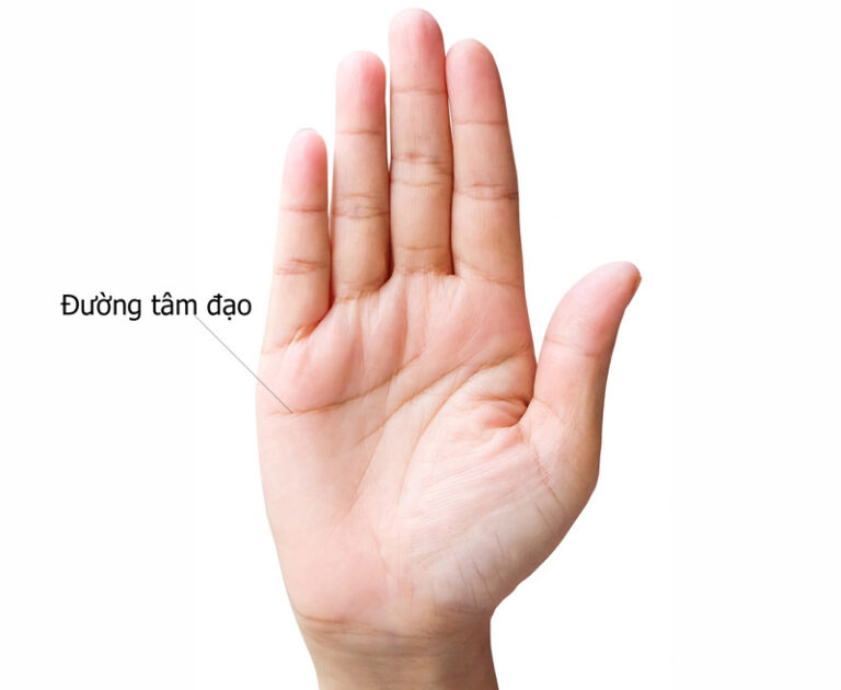 Đường Tâm Đạo Trong Phong Thủy: Khám Phá Bí Ẩn Cảm Xúc Và Tình Duyên Qua Lòng Bàn Tay