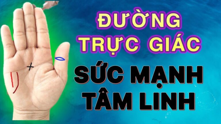 Đường trực giác phong thủy – Sự kết nối giữa tâm thức và không gian sống