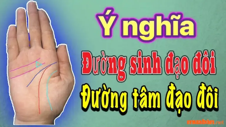 ĐƯỜNG SINH ĐẠO PHONG THỦY: BIỂU TƯỢNG CỦA SỨC SỐNG VÀ VẬN MỆNH