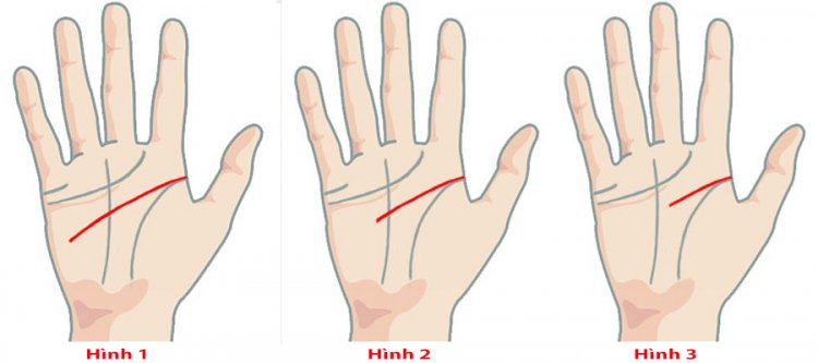 Đường Trí Đạo trong Nhân Tướng Học: Chìa Khóa Giải Mã Tư Duy và Trí Tuệ