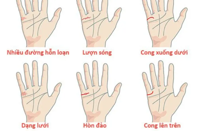 Đường trực giác trong nhân tướng học: Biểu tượng của sự nhạy bén và tâm linh
