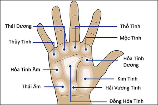 Thủy Tinh Đạo Trong Nhân Tướng Học: Cánh Cửa Giao Tiếp và Trí Tuệ Thực Dụng