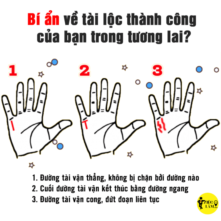 Đường Tài Vận Trong Phong Thủy: Khám Phá Bí Ẩn Vận May Tài Lộc Từ Lòng Bàn Tay