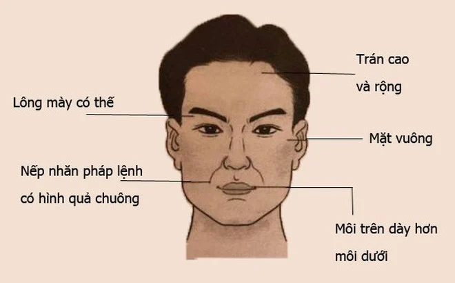 Tướng Mạo Trong Nhân Tướng Học: Tấm Gương Phản Chiếu Vận Mệnh