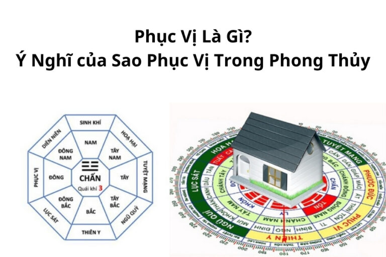 Phục Vị trong Phong Thủy: Bí Quyết An Yên và Ổn Định Cuộc Sống