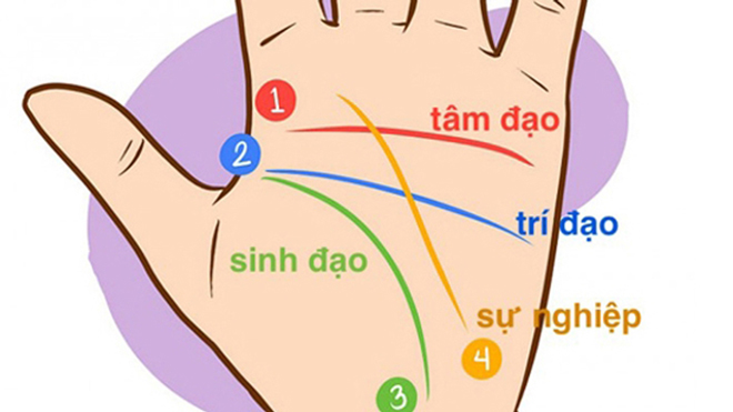 Sinh đạo trong nhân tướng học: Chìa khóa mở ra bí ẩn cuộc đời