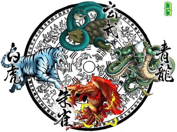 Tứ Tượng trong Phong Thủy: Biểu Tượng Vũ Trụ và Ứng Dụng Thực Tiễn
