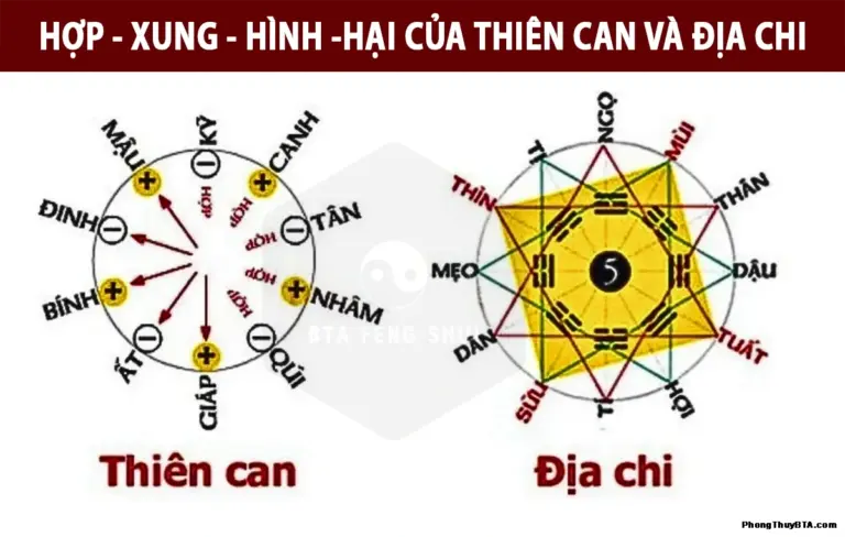 Thiên Can trong phong thủy: Ý nghĩa, nguồn gốc và ứng dụng thực tiễn